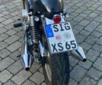 SIG-XS65
